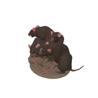 giant rat swarm (dnd-monsters)