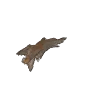 bark debris b (polyhaven-props)