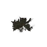 bush dry a (polyhaven-props)