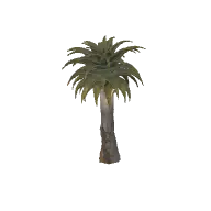 Desert Tree 3D model