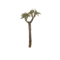 Desert Tree 2 3D model