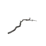 Fallen Branches A 3D model