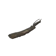 Fallen Branches C 3D model