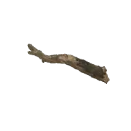 Fallen Log 2 3D model