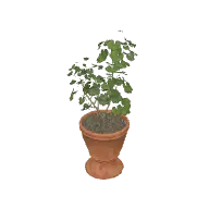 Potted Plant 3D model