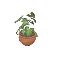 Potted Plant 2 3D model