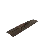 Tree Root 3D model