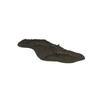 Tree Roots A 3D model