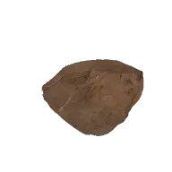 Tree Roots Cluster 3D model