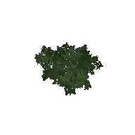 Bush Leafy C 3D model