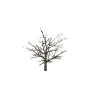 Dead Tree Large 3D model