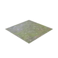 Moss Floor 3D model
