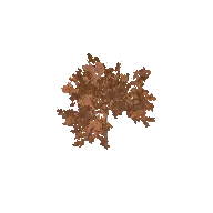 Oak Tree Autumn 3D model